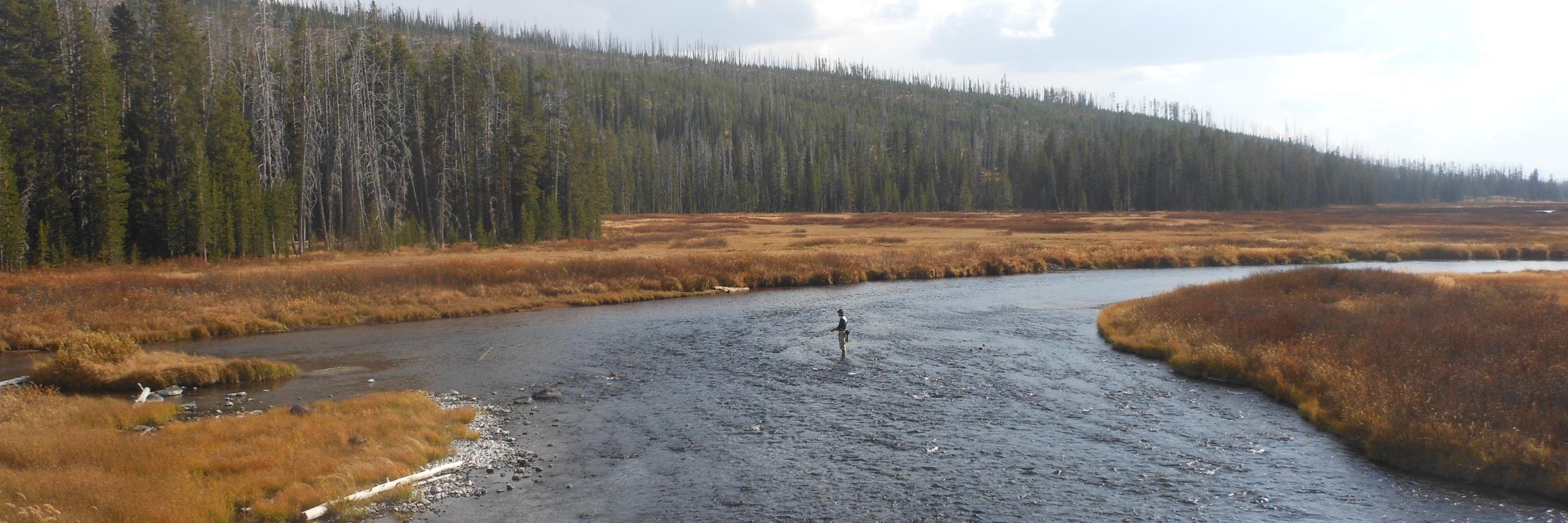 Dustin Stevens banner