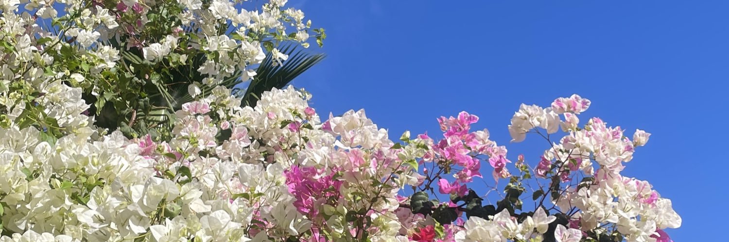 grsl25's profile banner image