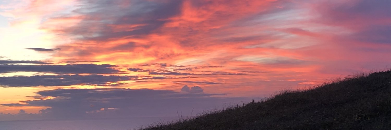 Andrew Nethsingha banner