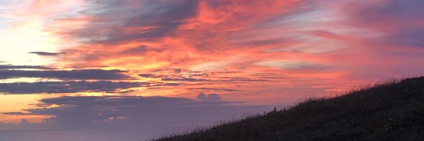 ANethsingha Profile Banner