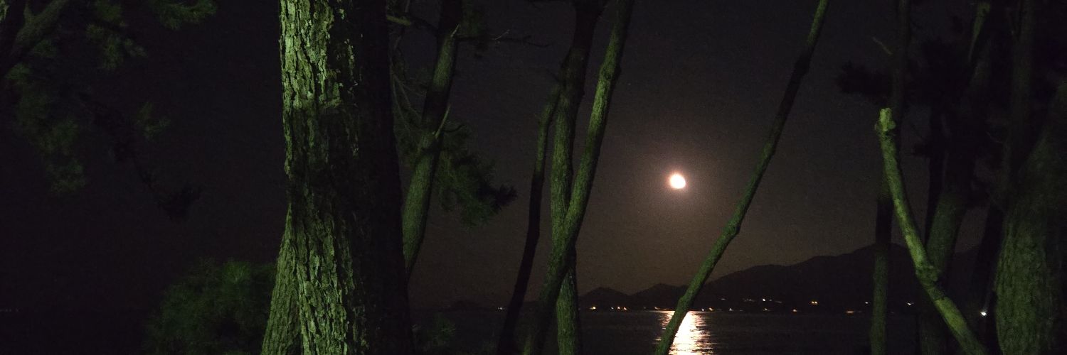 GDYP6's profile banner image