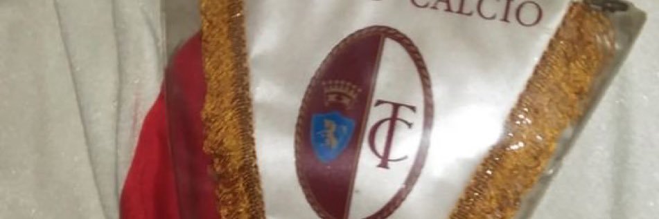 Antonio Tavolieri banner