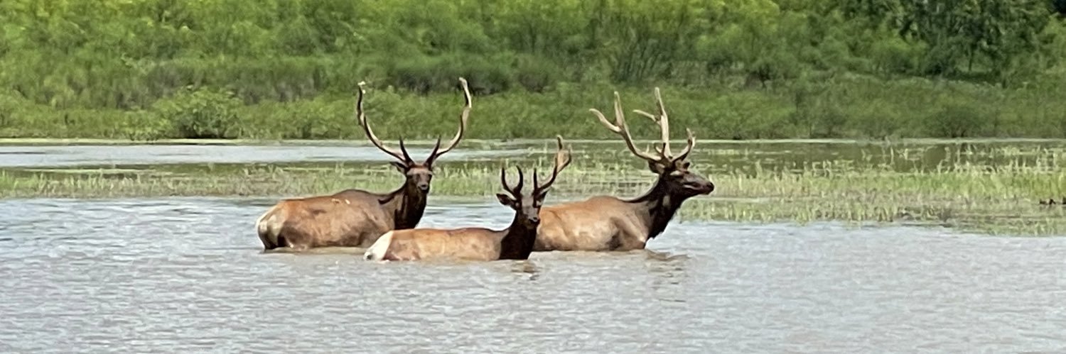 Thomas Hunt, MD, DSc banner