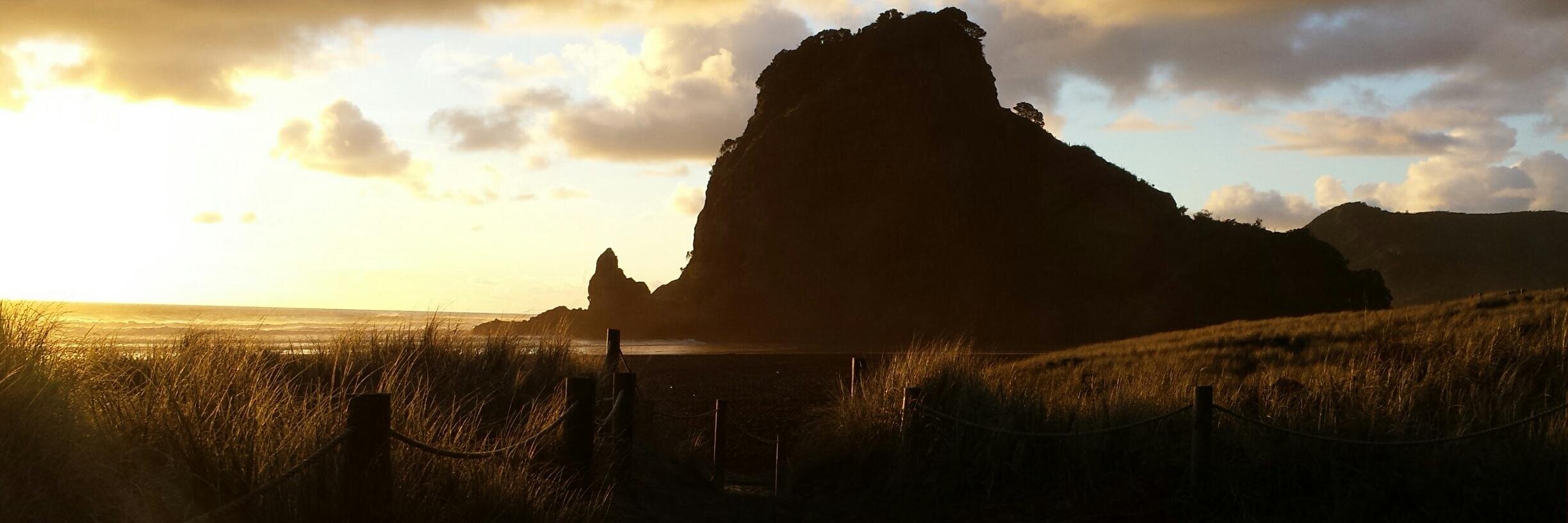 Bush & Beach NZ banner