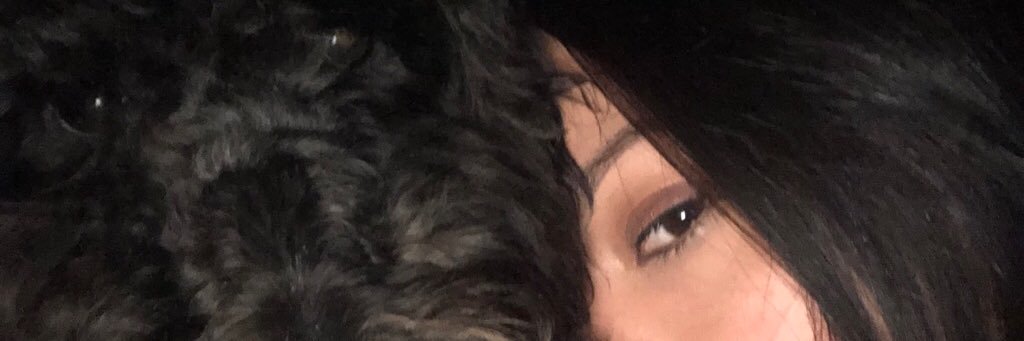 denalis_'s profile banner image