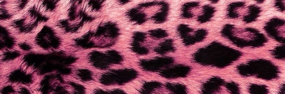 spacebethV2's profile banner image