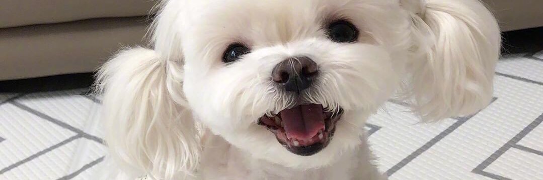 ffllllhj's profile banner image