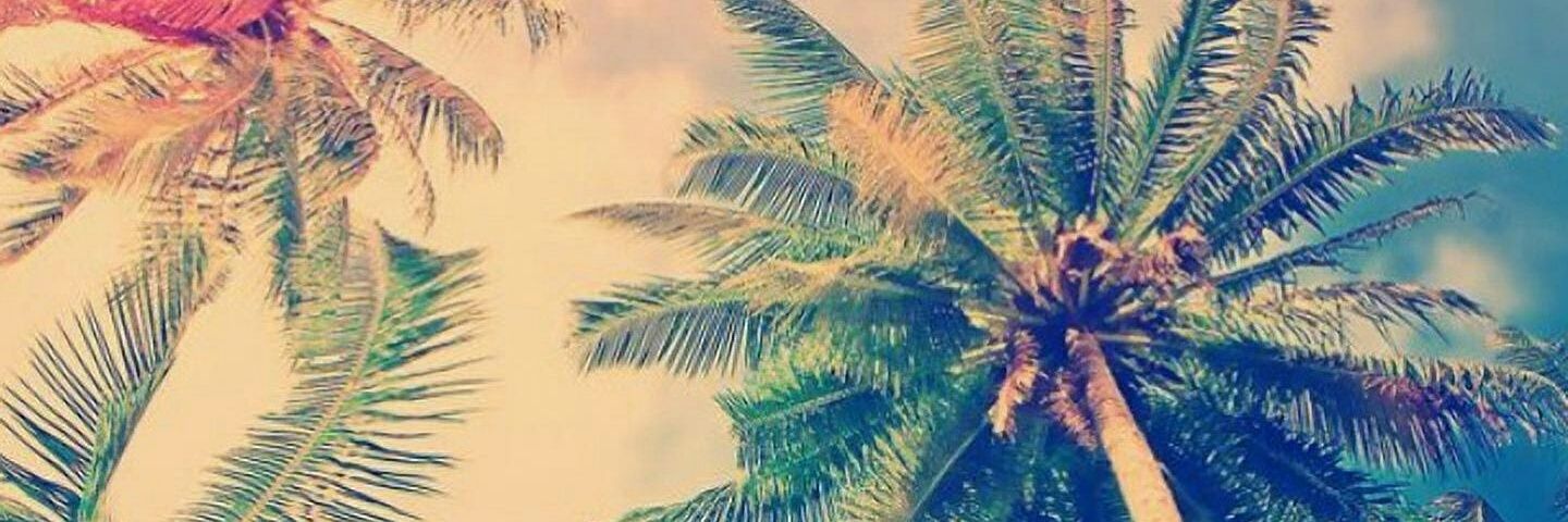 yah2080's profile banner image