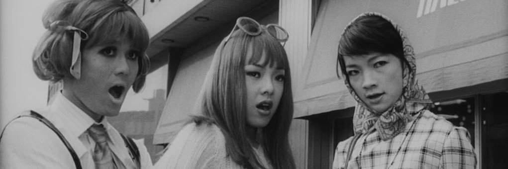 novalubbel's profile banner image