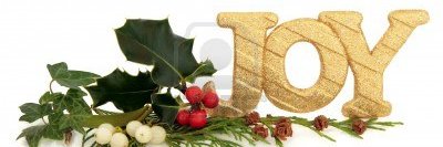 Carolynn Wilson banner