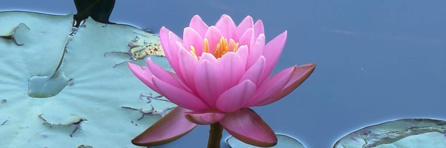 LuAnneJessop's profile banner image