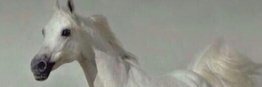 S__m_j's profile banner image