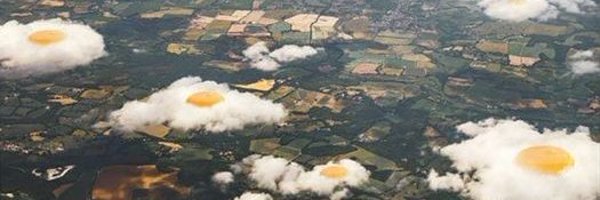 handzahm Profile Banner