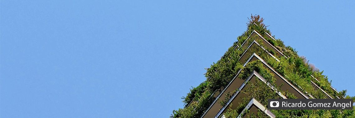 Ashley Kelly banner
