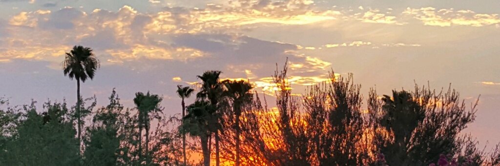 Arizonagoing's profile banner image