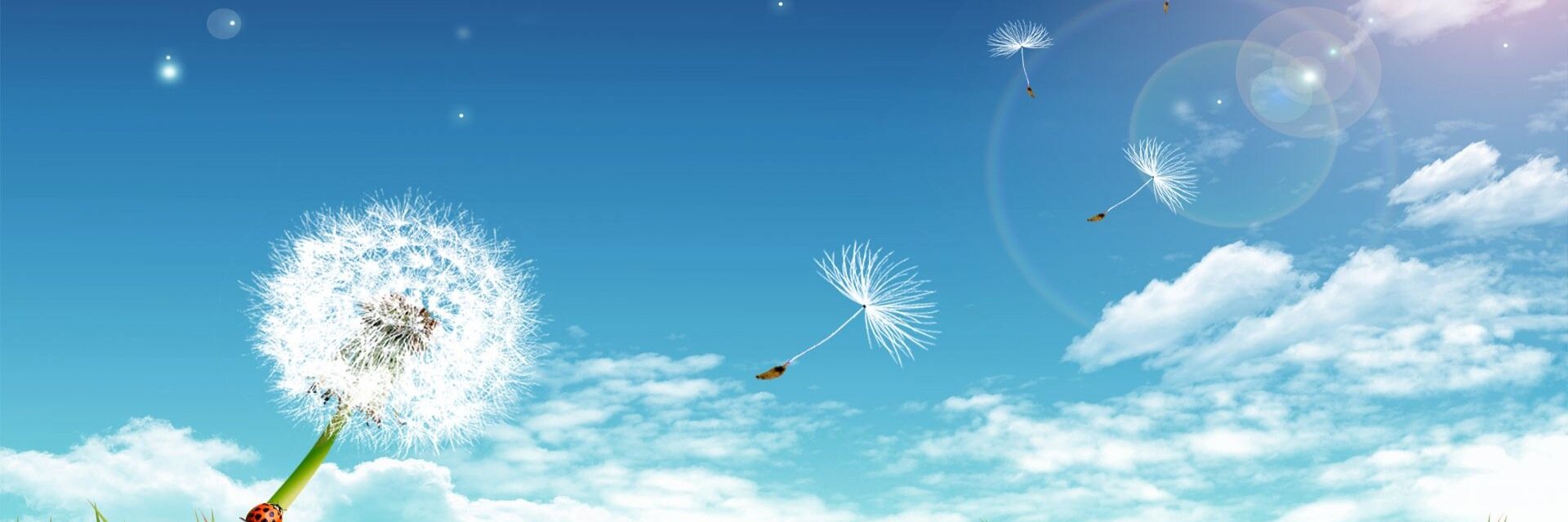 GetSparkr's profile banner image