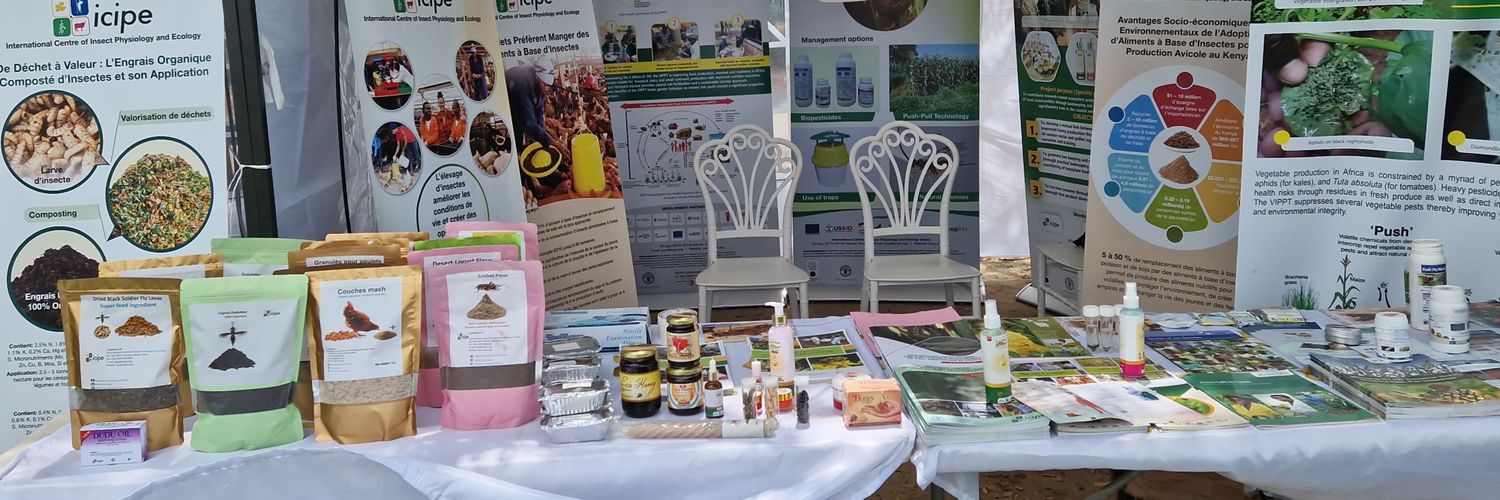 Shaphan Y. Chia banner