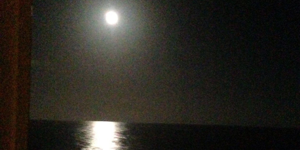 Todd Ferguson banner