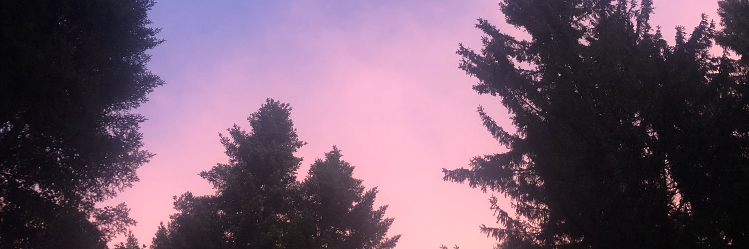 lesaventuresK's profile banner image