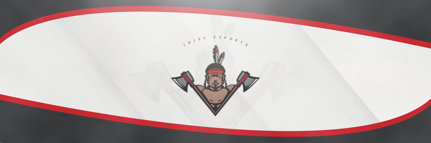 Tribe_eSports's profile banner image