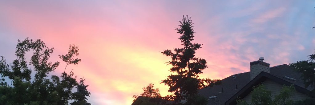 PiperLyra's profile banner image