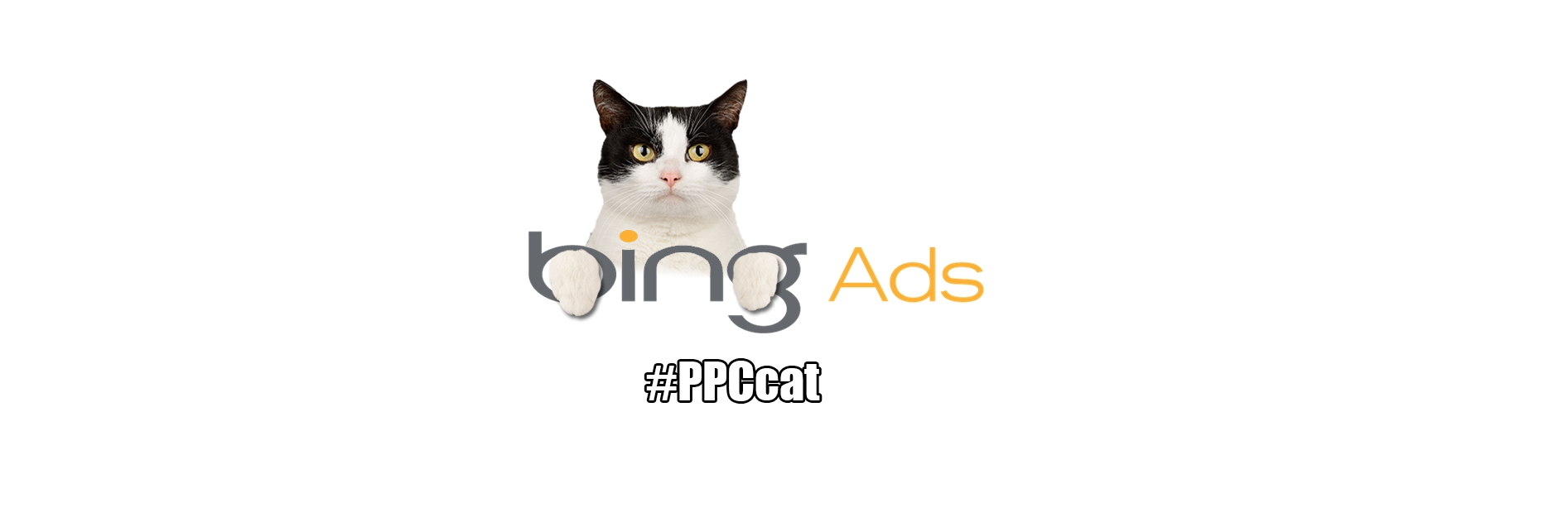 ppccat's profile banner image