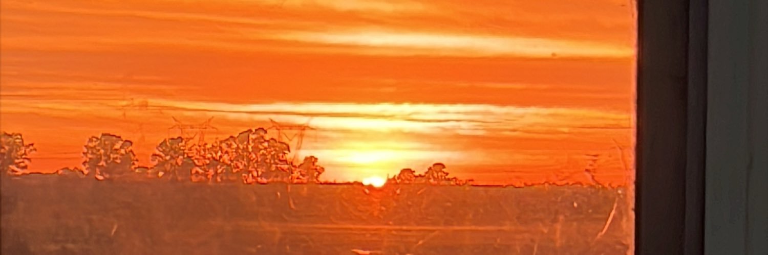 msmarianunez's profile banner image
