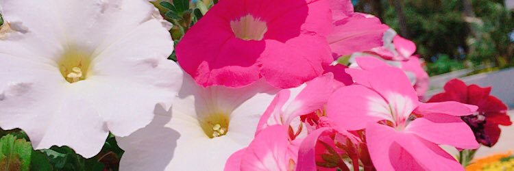 gihyon02's profile banner image