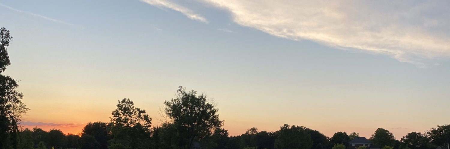 carmcarss's profile banner image