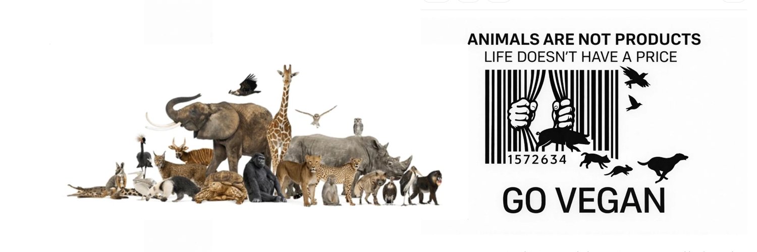 AVegan4Animals's profile banner image