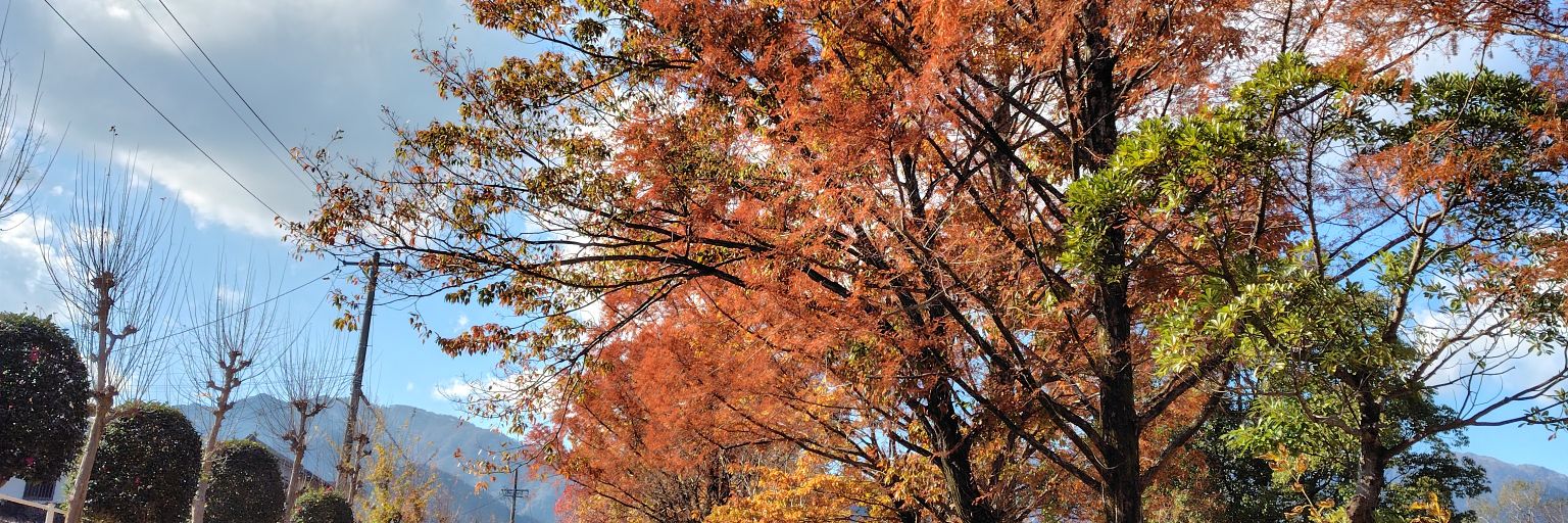 kayokojoe's profile banner image