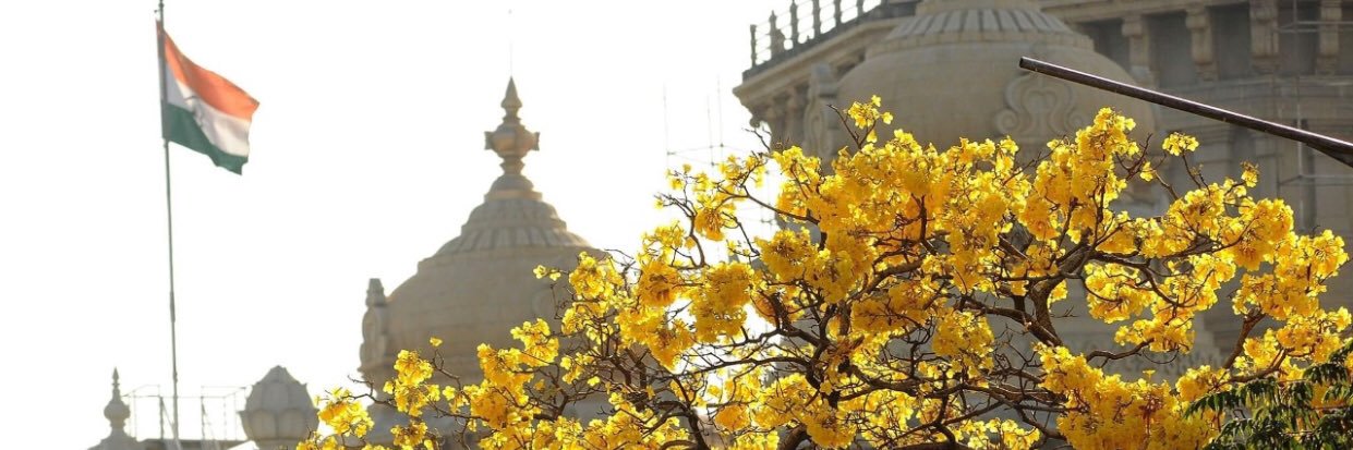 padmavallury's profile banner image