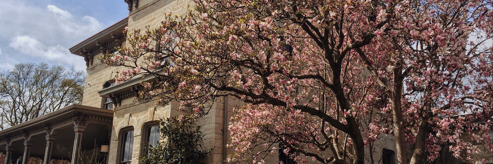 KUBetaThetaPi's profile banner image