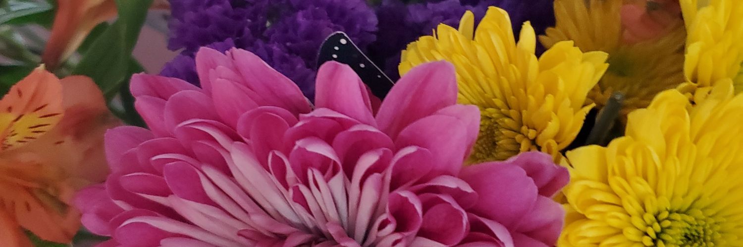 Daveleni's profile banner image