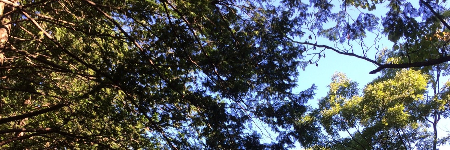 0708saku's profile banner image