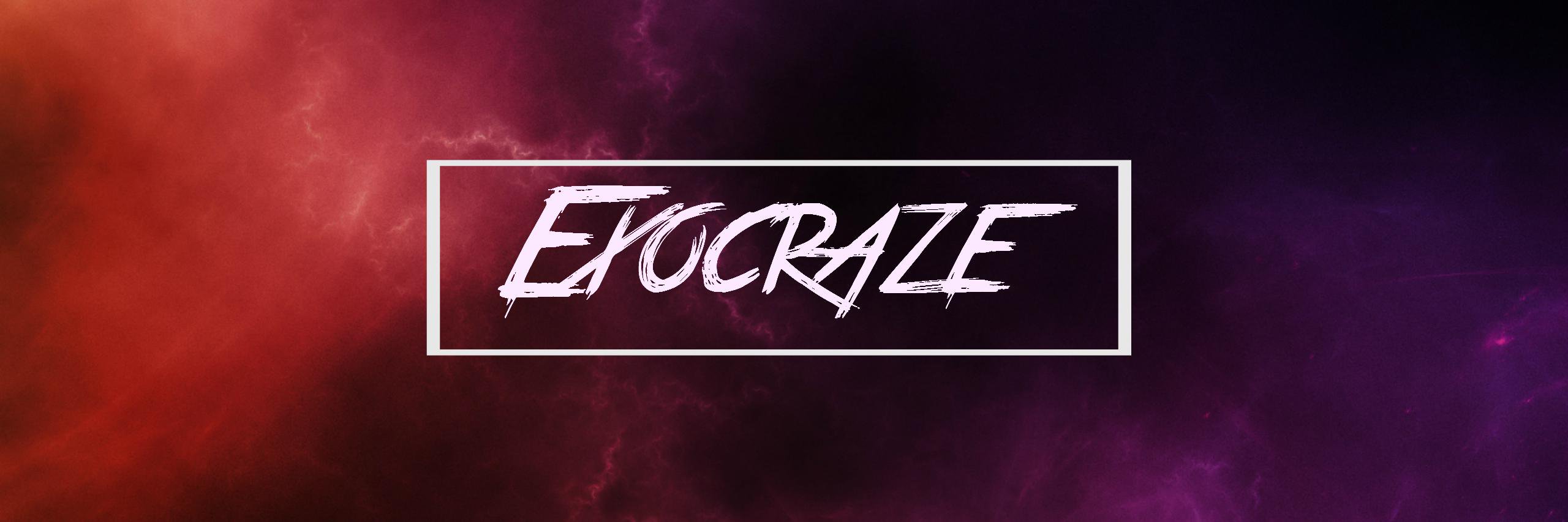 Logan banner
