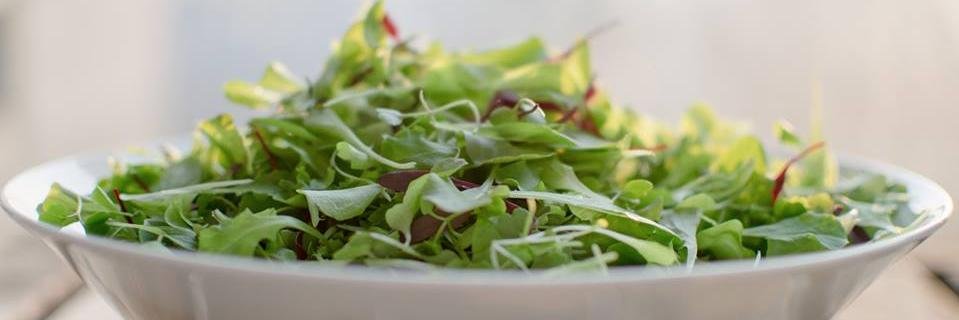 GarfieldProduce's profile banner image