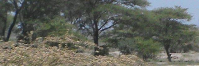 mazingiratz's profile banner image