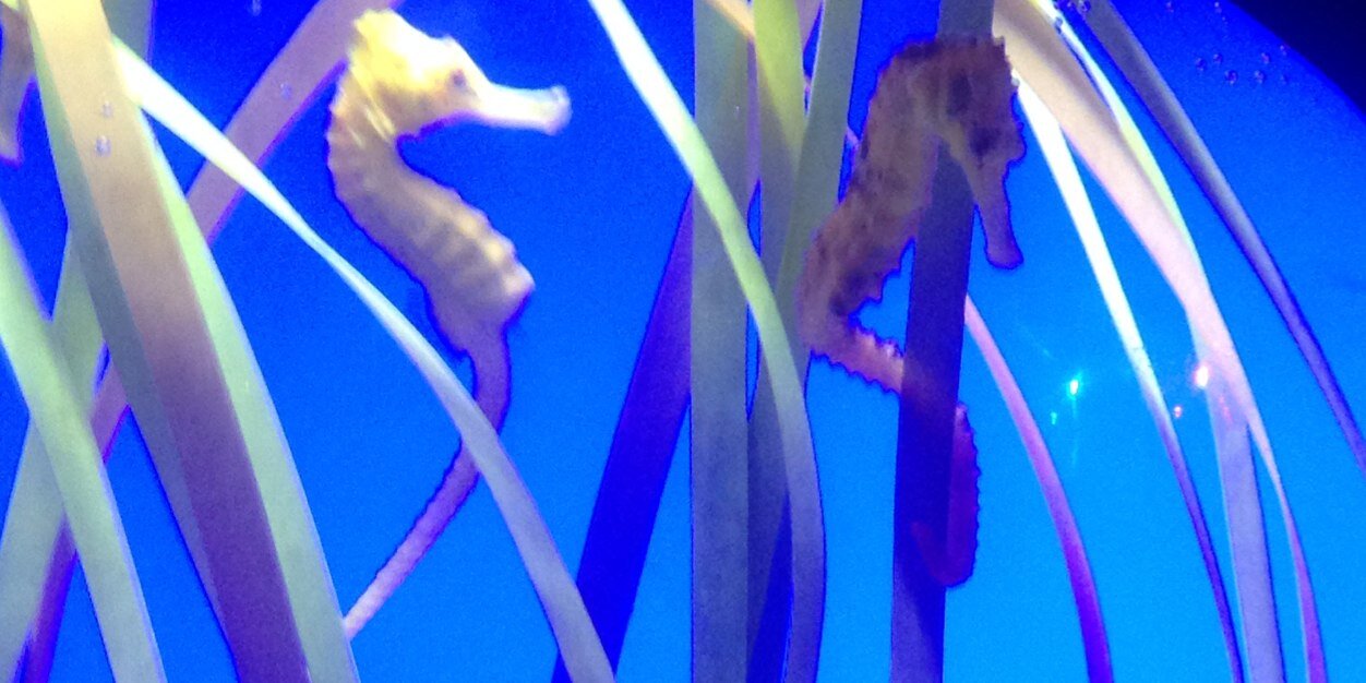 ImRhonda's profile banner image