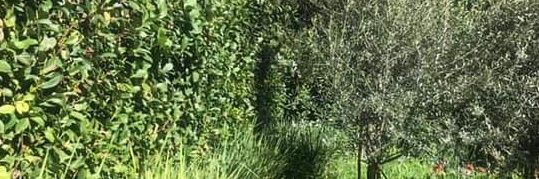 lee_maake's profile banner image