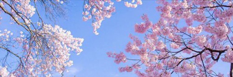 lluu45's profile banner image