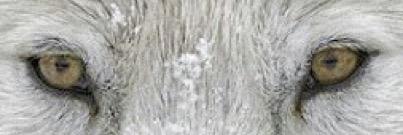VGCallCenter's profile banner image