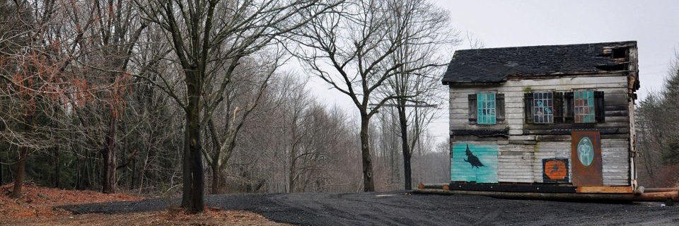 Danielle Winston banner