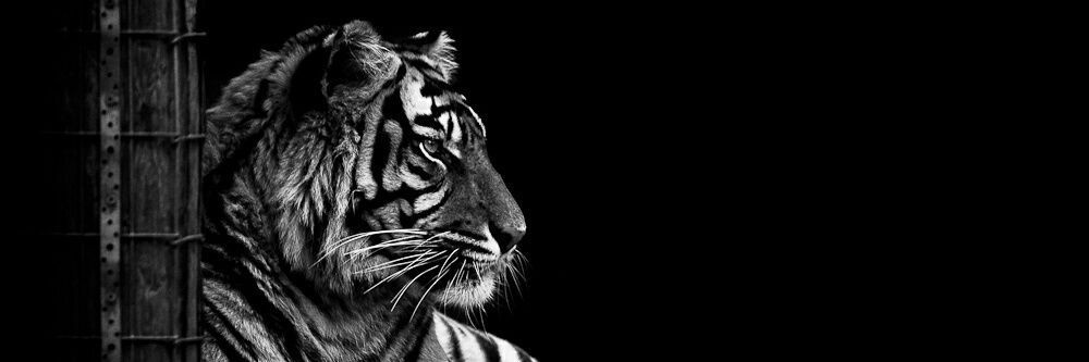 DM_Morrow's profile banner image