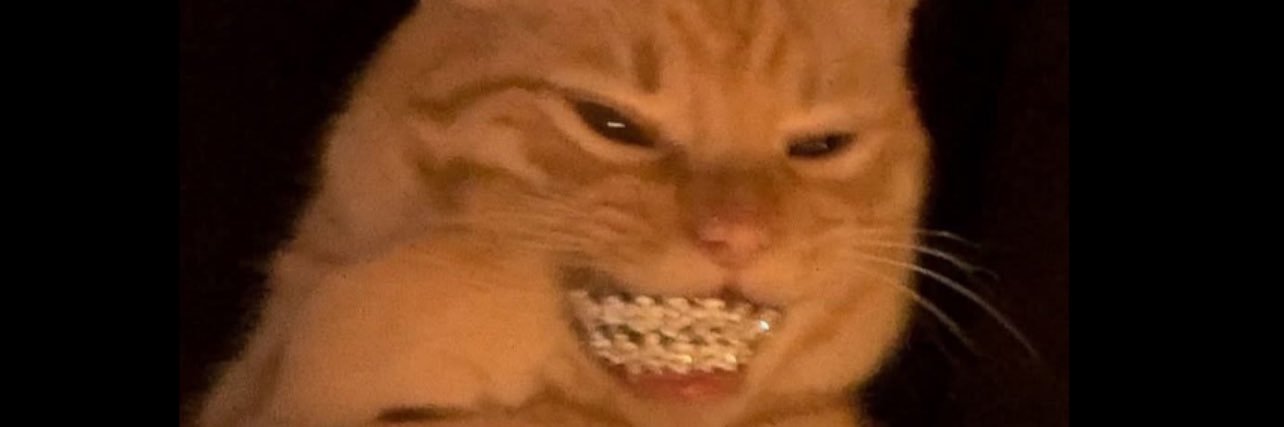 Anjelllie's profile banner image