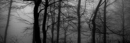 Rol_CoFA's profile banner image