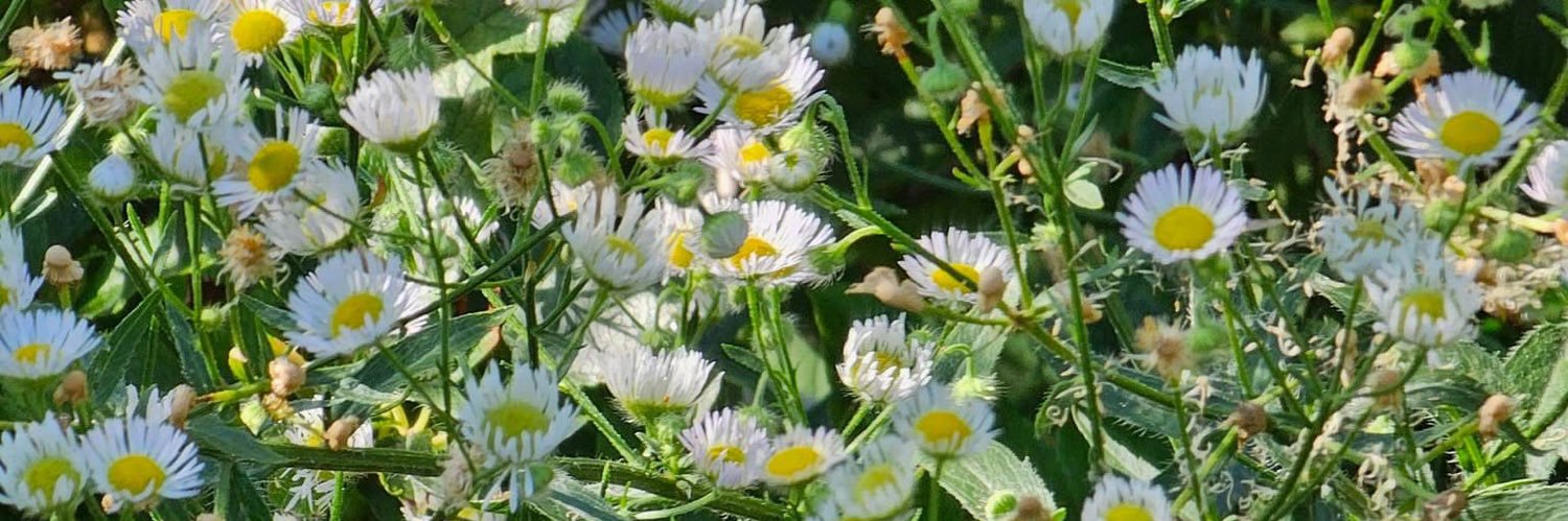 CindyU (신디 유)🩵 banner