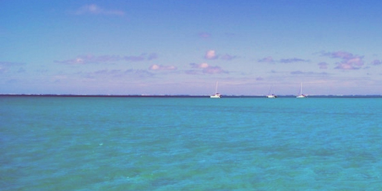 scisci_antonio's profile banner image