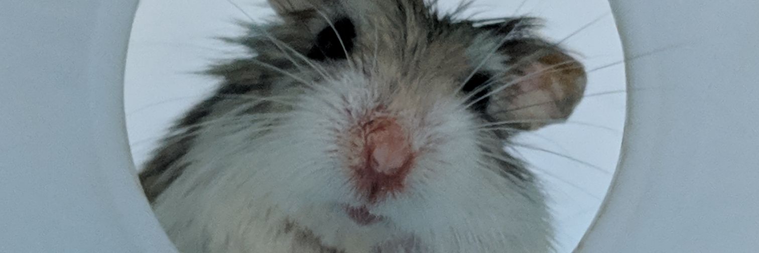 derrickthed's profile banner image