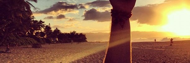 Fanaticapeloguh's profile banner image